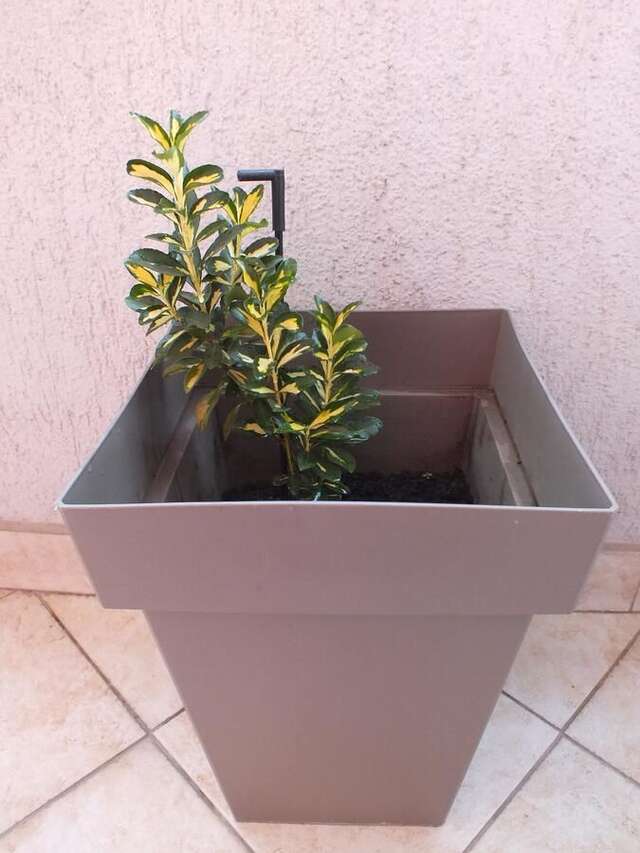 Апартаменты Apartment Temple Подгорица-42